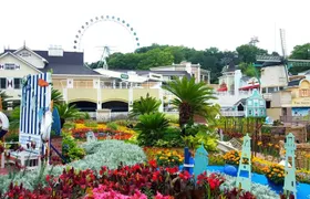 Everland Theme Park Entry Ticket