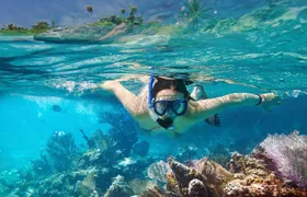 Snorkeling in Unawatuna
