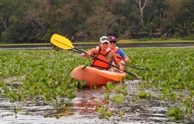 Kayaking tour in the Chagres River