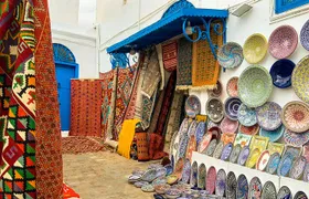 Private Day Trip Tunis Carthage Sidi Bou Said