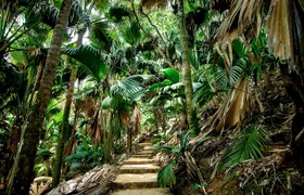 Vallee de Mai Tour (From Praslin)