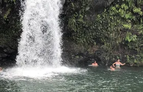 Small-Group Road to Hana Adventure Tour with Pickup & Lunch