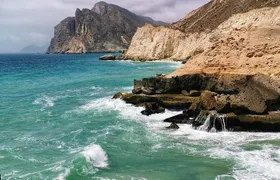 West Salalah, Al Mughsail Beach, White Beach, Frankincense Tree (Half day Tour)