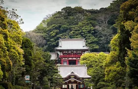 When Emperors Reigned and Shoguns Ruled