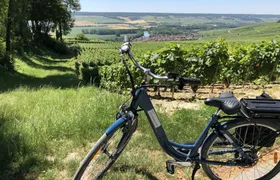 Full-day E-bike Tour in Champagne with Lunch