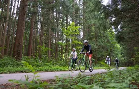 Mount Haguro E-Bike Sightseeing Tour in Yamagata, Japan