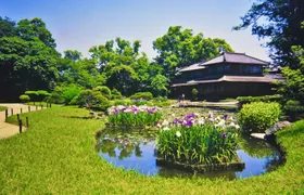 Yatsushiro private tour with Yatsushiro Shrine and Shohinken
