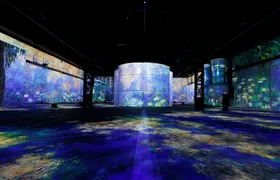 Phoenix des Lumières Permanent Exhibition Entry Tickets