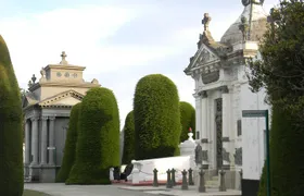 Punta Arenas & Strait of Magellan Park Value Excursion