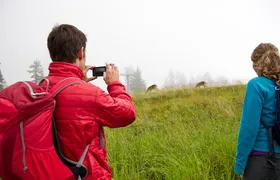 Canmore: Wilderness & Wildlife Tour - 2hr Walk