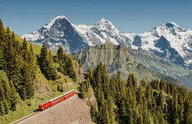 Jungfrau Travel Pass 3-8 days