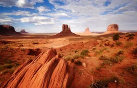 7 Day National Parks Tour from Las Vegas to San Francisco via Grand Canyon with Lodging