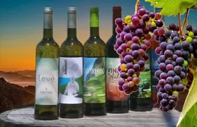 Guided Tour Beyond Vineyards Cabo Girão Skywalk and 4x4 Adventure
