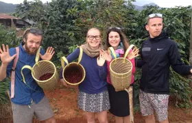 Coffee Class and DaLat Outskirt Tour