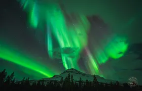 Small Group Northern Lights Chase with Photography from Tromsø