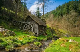 Culture and Traditions Hike through the Black Forest with a Local