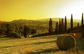 Sunset Wine Tour from Siena to Chianti with Dinner