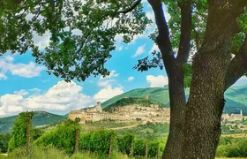 Assisi vineyard guided tasting with aperitif