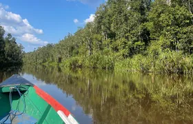 Ethical Orangutan River Cruise around Tanjung Puting 1D0N