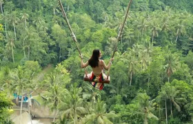 Ubud Private Tours with Jungle Swing Experience - all inclusive