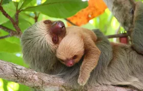 Manuel Antonio National Park one day tour from San Jose