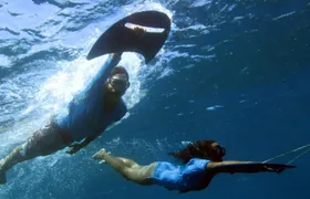 Underwater boat tour with lunch