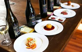 Icon Wine & Food Pairing at Williamson Wines in Healdsburg