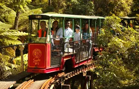 Captivating Railway Journey in Coromandel 