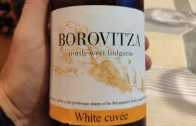 Vidin & Belogradchik Exquisite Wine Tasting