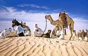 4-Day Private Tour: Sahara and Djerba Island from Tunis and Hammamet