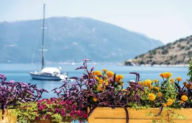 An Evening in Argostoli with Wine Tasting