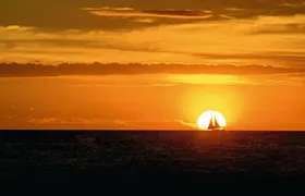 Pura vida sunset cruise