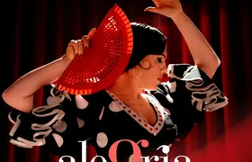 1-hour flamenco show at Malaga's Alegría