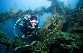 Coron Reefs & Wreck Tour (Shared Tour)