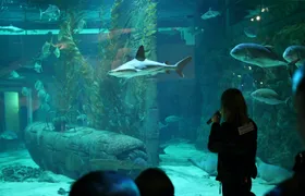 Skip-the-line ticket for the Seaquarium