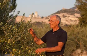 Assisi vineyard picnic and wine tasting