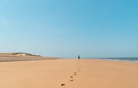 Norfolk Tour App & Game