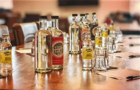 Guided gin tasting at an independent distillery in Bristol