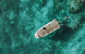 Coromandel Adventure and Wildlife Boat Tour to Aldermen Islands 