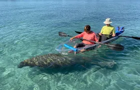 Guided Clear Kayak Eco-Tour of Jupiter
