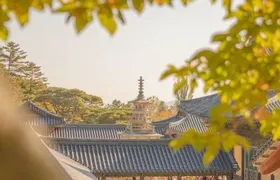 Private Gyeongju Tour - Explore Gyeongju UNESCO Sites
