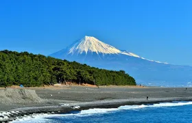 Shizuoka/Shimizu Mt Fuji View 6 hr Private Tour: Guide Only
