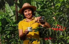 Explore the Coffee Process_From Tree to Cup & Fun by Jeep