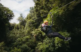 Rotorua Canopy Tours: 2.5Hour Native Forest Zipline Adventure