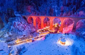 Black Forest fairytale private tour from Zurich