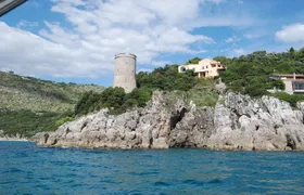 Ulysses Coast Boat Tours