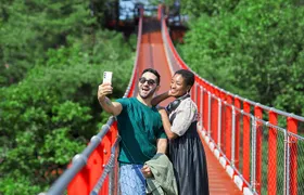 Best DMZ Tour Korea from Seoul (Red Suspension Bridge Optional)