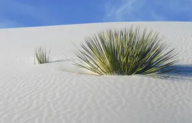 Self-Guided Audio Driving Tour of White Sand National Park