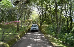8-Hour Private Tour in 4x4 Vehicle from Ponta Delgada