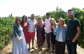 Small-Group Wine Country Tour from San Francisco with Tastings
